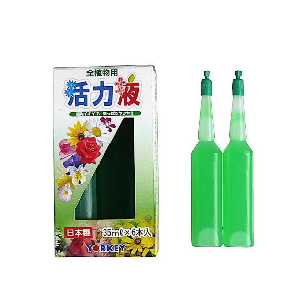 活力剤 全植物用 ６本入 2jpp 100円雑貨 日用品卸 Bababa 通販 Yahoo ショッピング