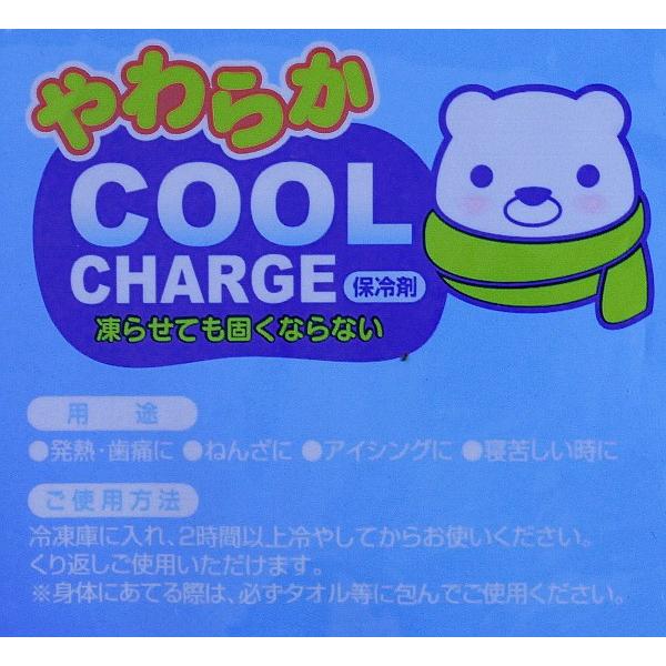 保冷剤 固くならない やわらかクールチャージ ４００ｇ Buyee Buyee Japanese Proxy Service Buy From Japan Bot Online