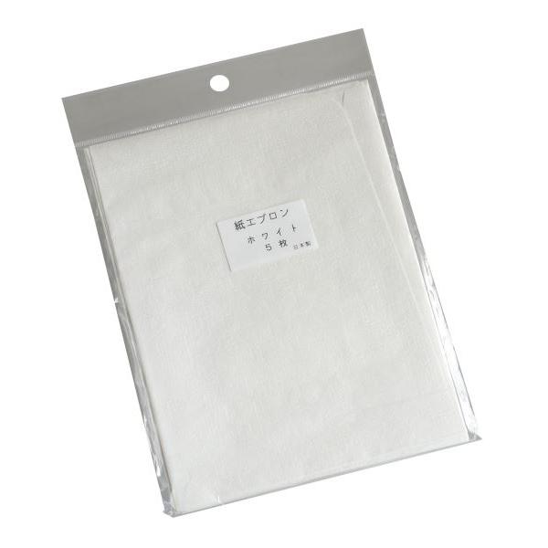 紙エプロン ホワイト 5枚入 (100円ショップ 100円均一 100均一 100均