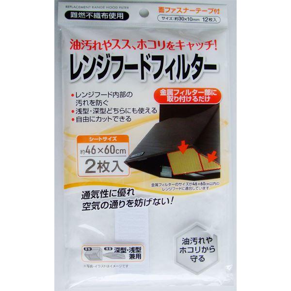レンジフードフィルター 46×60cm 2枚入 面ファスナーテープ付 (100円 