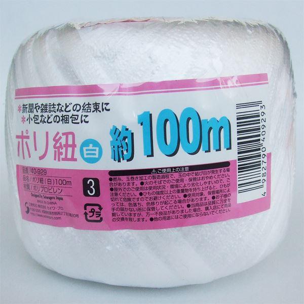 ポリ紐 白 100m (100円ショップ 100円均一 100均一 100均)
