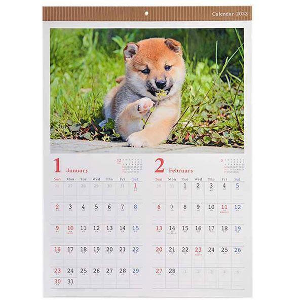カレンダー ２０２２年 壁掛タイプ ａ２サイズ イヌ 2snp 100円雑貨 日用品卸 Bababa 通販 Yahoo ショッピング