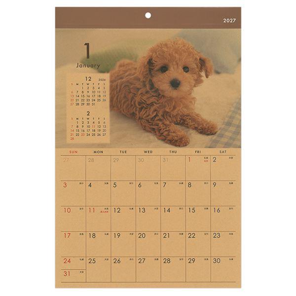 カレンダー 2027 壁掛け B4クラフト イヌ写真 (100円ショップ 100円均一 100均一 100均)