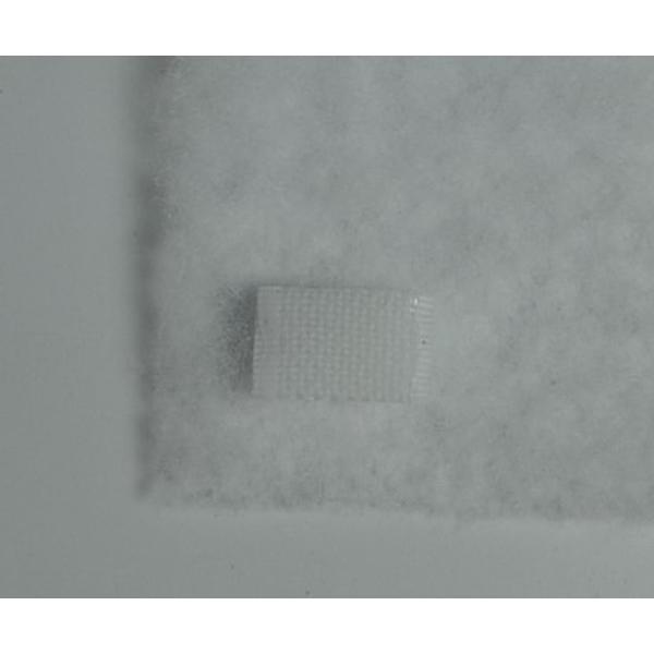 kawauchi_2yue51100_5