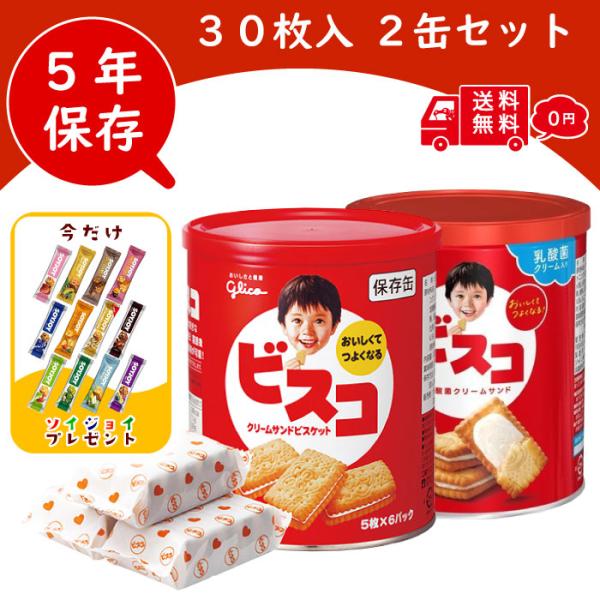 ビスコ 保存缶 2缶セット ソイジョイ オマケ付き 非常食 缶詰 長期保存 5年 ビスケット缶 防災グッズ 保存食 ローリングストック 長期 備蓄 災害 江崎グリコ