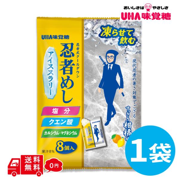 忍者めし アイススラリー すっきり柑橘味 1袋 8個入 熱中症対策 塩分 クエン酸 カルシウム マグネシウム お試し 食べきりサイズ  小分け ポイント消化