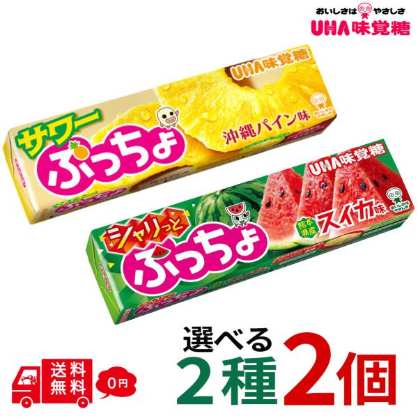 ぷっちょスティック 選べる2種 計2個 シャリっとスイカ 沖縄パイン味 ソフトキャンディ UHA味覚糖 お試し 食べ比べ サワーポイント消化 ギフト 少量 子供 お菓子