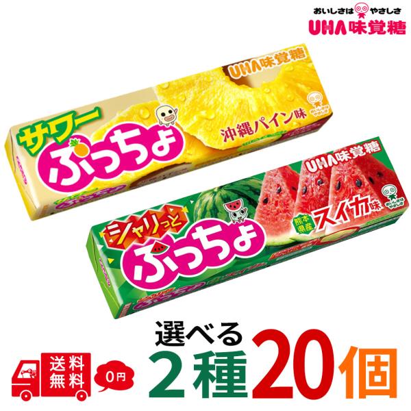 ぷっちょスティック 選べる2種 計20個 シャリっとスイカ 沖縄パイン味 ソフトキャンディ UHA味覚糖 サワー お菓子 おやつ まとめ買い 大量 大容量 まとめ買い