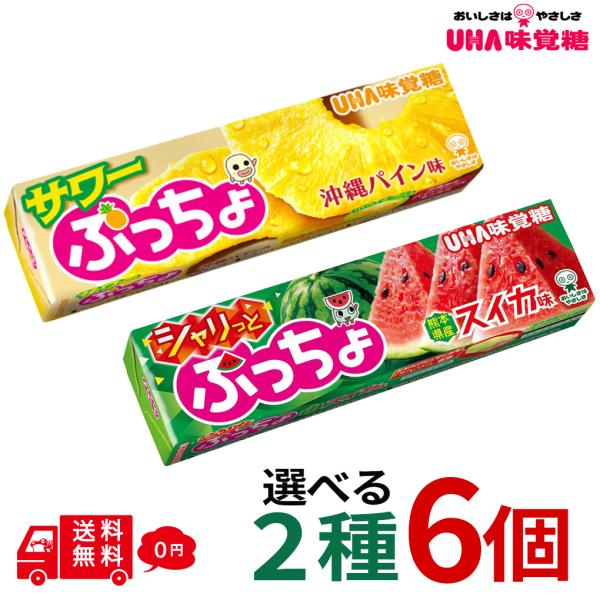 ぷっちょスティック 選べる2種 計6個 シャリっとスイカ 沖縄パイン味 ソフトキャンディ UHA味覚糖 食べ比べ サワー お菓子 おやつ キャンディー ポイント消化