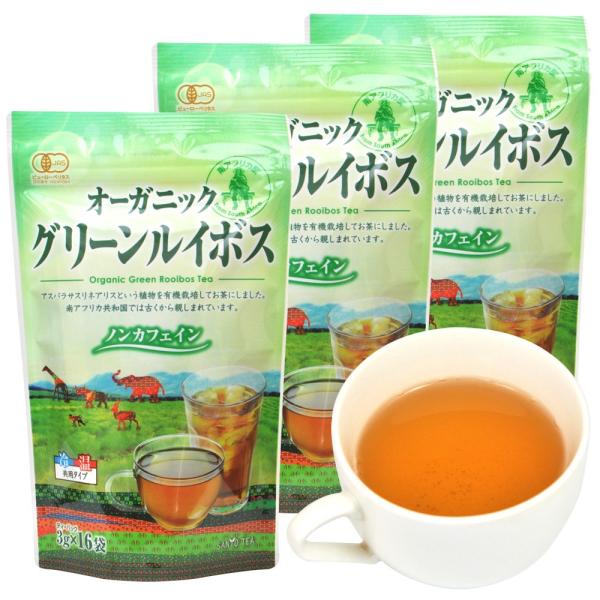 オーガニック グリーンルイボスティー 3袋セット（3g×16P×3袋）有機