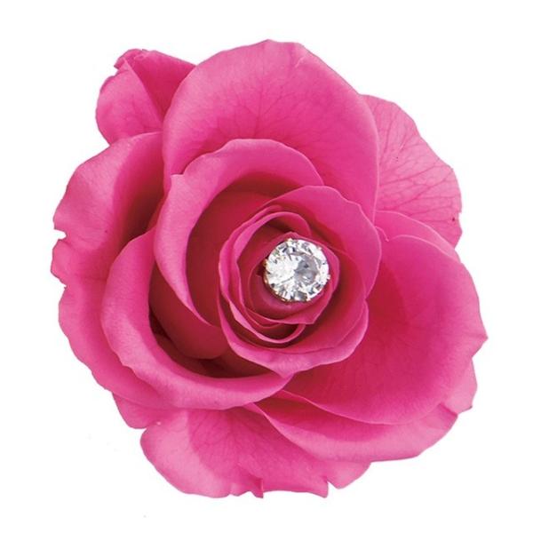 ジュエルリング シャイン ピンク 2個入り アレンジメント キット セット含む プリザーブドフラワー ギフトアレンジ