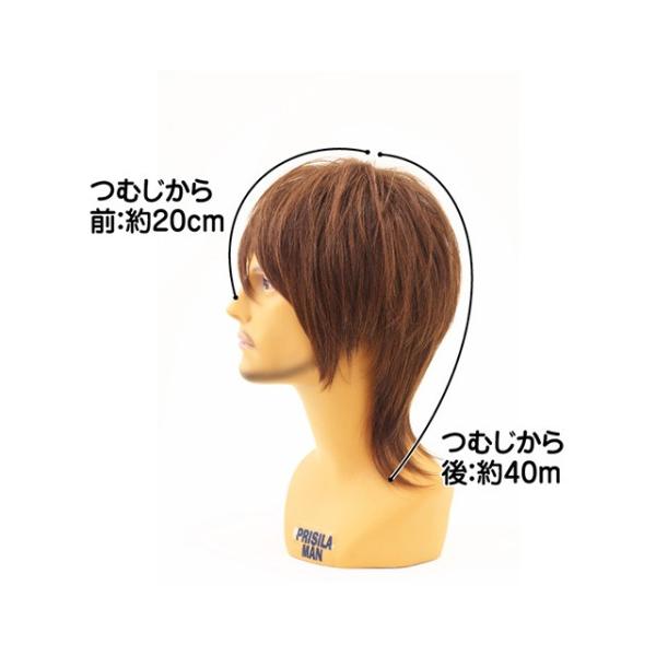 メンズウィッグ おしゃれかつら 男 プリシラ メンズウィッグワイルドウルフ 耐熱ファイバーma 105 Buyee 日本代购平台 产品购物网站大全 Buyee一站式代购 Bot Online