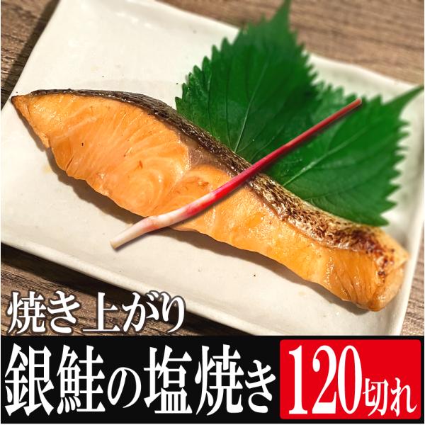 焼き上がり銀鮭切身 7.2ｋｇ(約60ｇ×120切)×１ケース 送料無料
