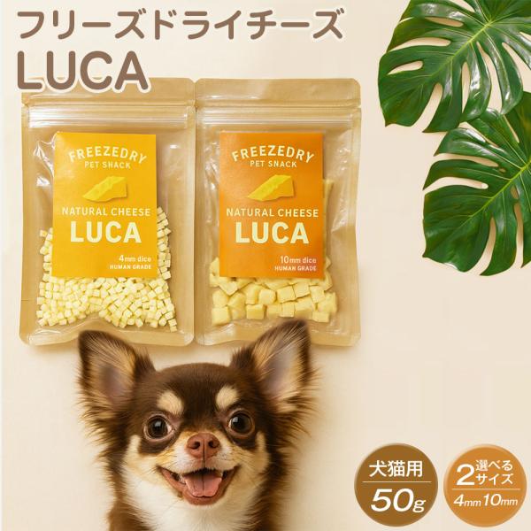 無添加 フリーズドライチーズ 4mm ダイス 50g 犬 猫 国産