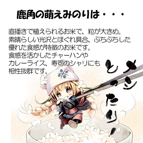 鹿角の萌えみのり 3kg お中元 御中元 夏ギフト 暑中見舞 土用 帰省土産 グルメ ギフト プレゼント 米 お米 秋田県産 萌え米 Ank0002 恋する鹿角web Store 通販 Yahoo ショッピング