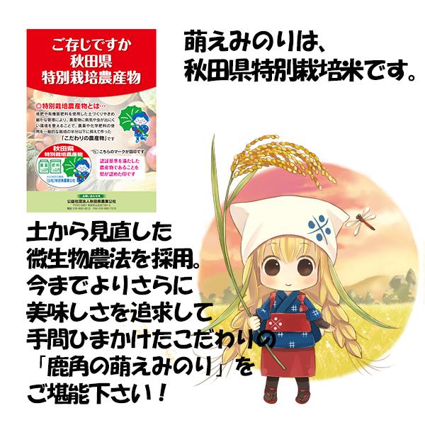 鹿角の萌えみのり 3kg お中元 御中元 夏ギフト 暑中見舞 土用 帰省土産 グルメ ギフト プレゼント 米 お米 秋田県産 萌え米 Ank0002 恋する鹿角web Store 通販 Yahoo ショッピング