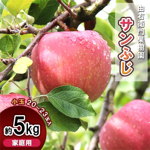 [Release date: December 17, 2025]りんごの人気品種「サンふじ」サンふじは甘味と酸味のバランスが良く、 シャキシャキの食感と果汁たっぷりのりんごです！●こちらは家庭用りんごで選果時の規格外品になります。 （小ぶ...