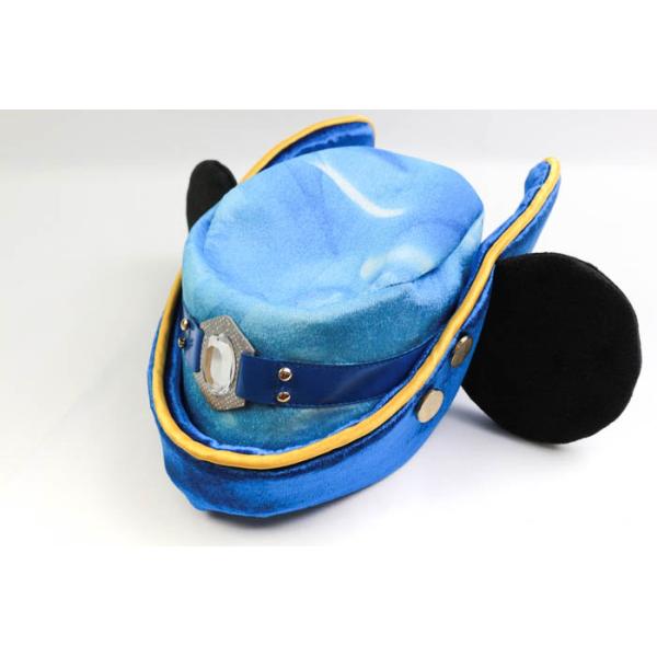 Disney 東京ディズニーリゾート ファンキャップ ディズニーシー 15周年