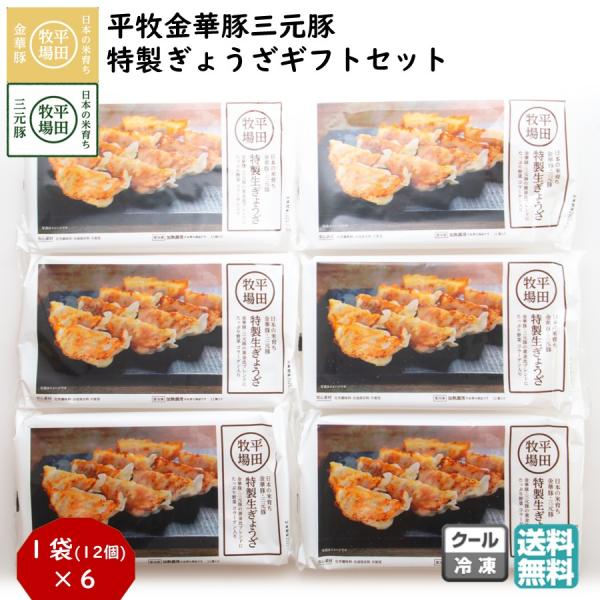 平牧 金華豚 三元豚 特製 ぎょうざ ギフトセット 冷凍 (JGY-06) 平田牧場 送料無料 中華 惣菜 餃子  お中元 夏ギフト  【B02】