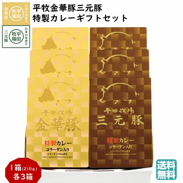 平牧 金華豚 三元豚 特製 カレー ギフトセット 常温 (VCR18-2) 平田牧場 送料無料 レトルト  お中元 夏ギフト  【B02】
