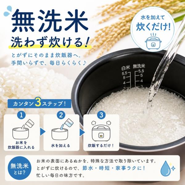 �V�� �ߘa8�N�Y ��P �����ăL���[�u 2�� 300g �R�`���Y �^��p�b�N �yA01�z ���i�摜2