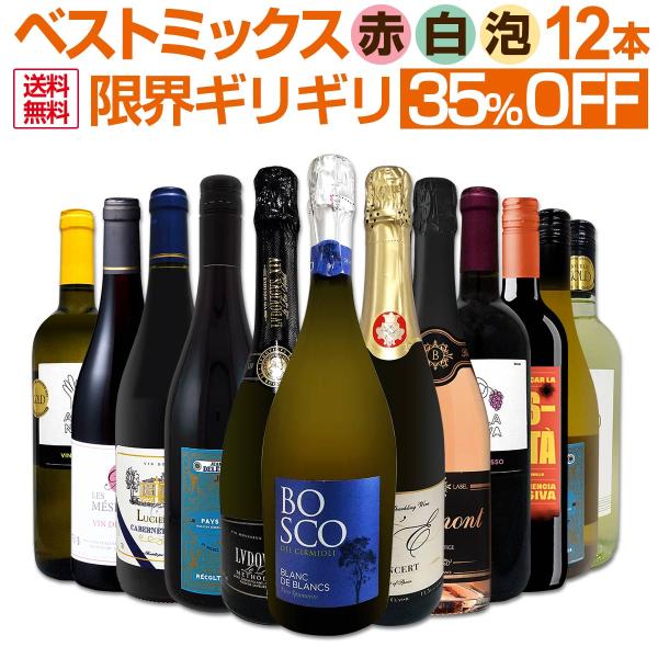 第91弾 この価格でこの内容は絶対オススメ 限界ギリギリまで良いワイン wine を詰め込んだ超厳選のベストミックス赤白泡など12本