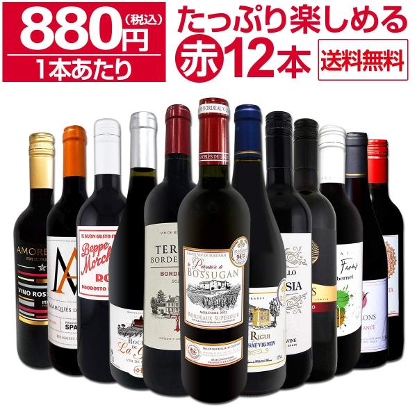 第95弾 1本あたり880円 税込 採算度外視の大感謝 厳選赤ワイン wine 12本セット set 12本で10,560円 税込 たっぷり 大容量 ウルトラバリュー 毎日飲める 飲み