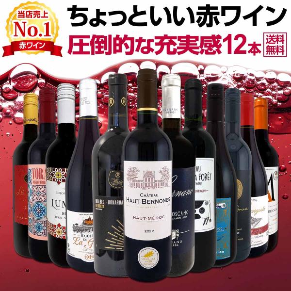 第109弾 当店オススメばかりを厳選したちょっといい赤ワイン wine 12本セット set