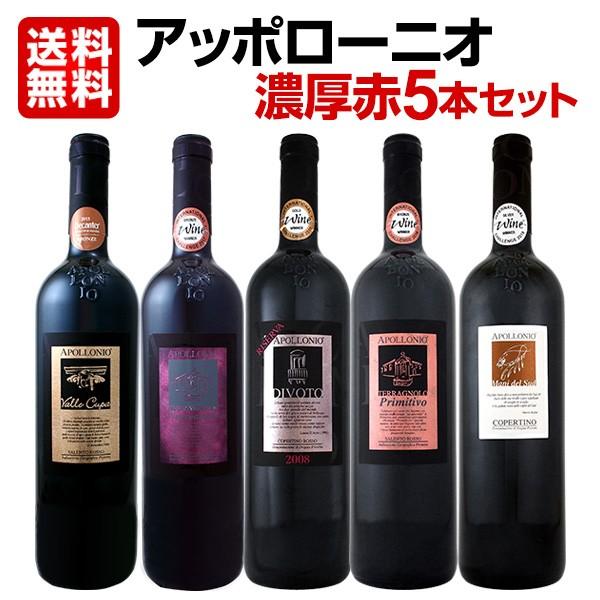 赤ワイン5本セット wine set 大人気イタリアンアッポローニオ濃厚