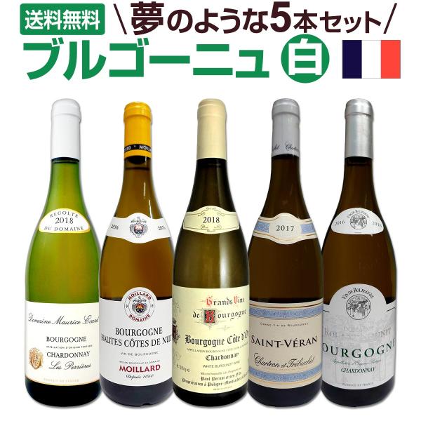 白ワイン セット フランス 5本 wine set 750ml ブルゴーニュ 厳選