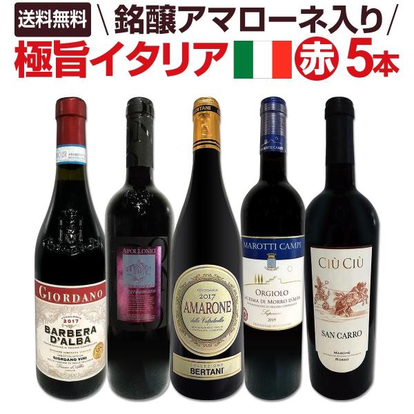 赤ワイン セット イタリア 5本 wine 750ml 100 set 限り 銘醸