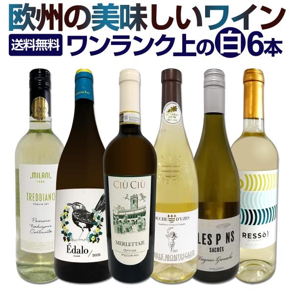 白ワイン wine セット set 第195弾 当店厳選 これぞ極旨辛口白ワイン