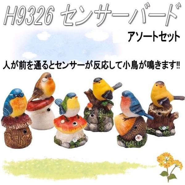 kcm-onlineshop_074- kcm-onlineshop_074-