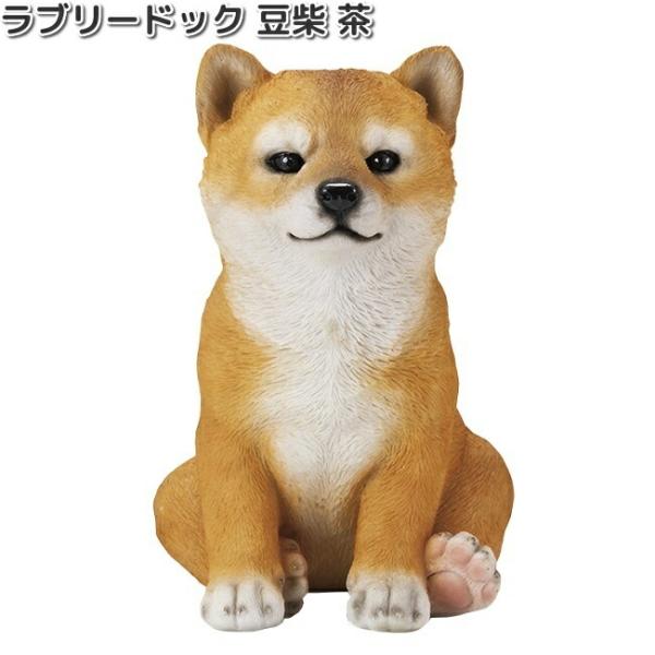 豆柴LOVERさま　専用 kcm-onlineshop_074-4589588303964