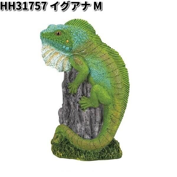 イグアナ アクリル画 HH31757 イグアナ M オーナメント エイチツーオー HH-31757