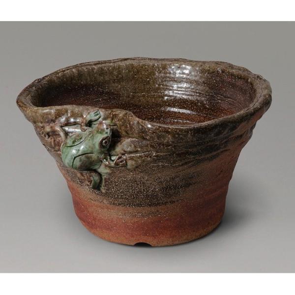 信楽焼 542-02 ビードロ蛙付めだか鉢【メーカー直送】【同梱/代引不可