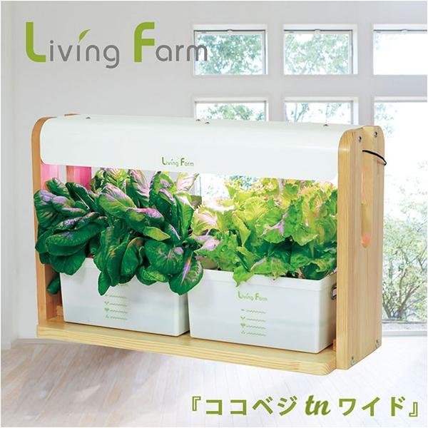 リビングファーム LF-CVTN-W ココベジキットシリーズ 水耕栽培器 ココ 