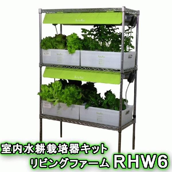 メーカー直送 リビングファーム Lf Rhwl6 室内水耕栽培器キット Rhw6 種 種子 代引き 同梱包不可 862 Lf Rhwl6ならショッピング ランキングや口コミも豊富なネット通販 更にお得なpaypay残高も スマホアプリも充実で毎日どこからでも気になる商品をその場でお
