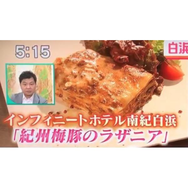 パスタ イタリアン イタリア料理 ラザニア チーズ 高級ホテル レストラン 和歌山 南紀白浜名店の旅ギフト Buyee Buyee 提供一站式最全面最專業現地yahoo Japan拍賣代bid代拍代購服務 Bot Online