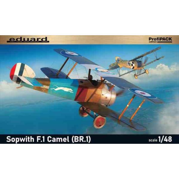 \bs[X F.1 L (BR.1GWڌ^)vtBpbN/GfAh82171/1:48XP[