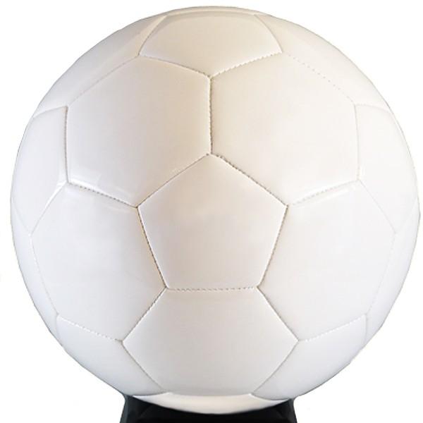 白いサッカーボール（5号球）