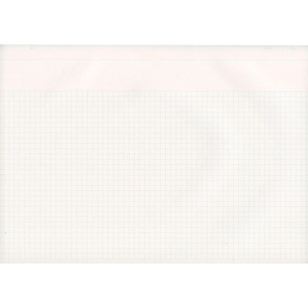 シンクノート Think Note サイズ 縦開き 5mm方眼 ブルー印刷 Rp 02db Buyee Buyee Japanese Proxy Service Buy From Japan Bot Online