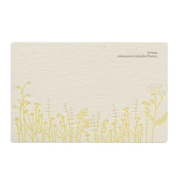 活版印刷の ポストカード ツリガネニンジン ボタニカル柄 おしゃれ Pm 117 P 文具 文房具のkdm ヤフー店 通販 Yahoo ショッピング