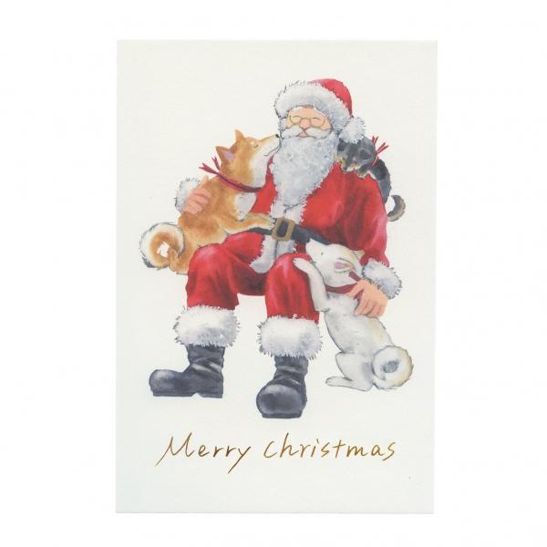 ポストカード しばいぬとクリスマス 村田夏佳 サンタクロース かわいい