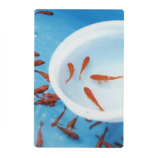 フォトグラファー・安堂真季氏が撮影した写真をPET素材に印刷した透明な栞です。本に挟むと下地が透けて、文字の世界を鮮やかに彩ります。金魚やお花、風景など幅広い柄が揃う本好きに人気のシリーズです。文庫本の片面に収まる、L版写真ほどの大きさと形...