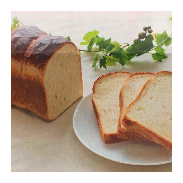 premium T 10kg v~As  pp F{Y ͕ F{ ~i~mJI pp  Hp 10L Y ͏