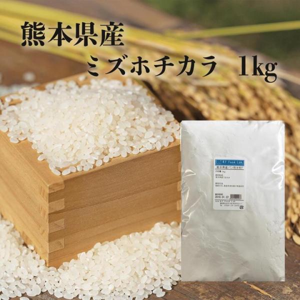 ミズホチカラ 熊本県産 パン用米粉F 1kg うるち米 米粉 1キロ 米粉パウダー 国産米粉 製菓 料理用 天ぷら・から揚げに