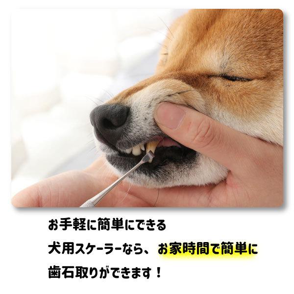 ペット用 歯石取り 安全 口腔ケア 器具 スケーラー 犬用 猫用 犬 猫 ネコ 虫歯 虫歯予防 歯周病 虫歯痛み ヤニ取り 簡単 ワンちゃんの口臭予防 歯磨き Ke0702 Kedukaヤフー店 通販 Yahoo ショッピング