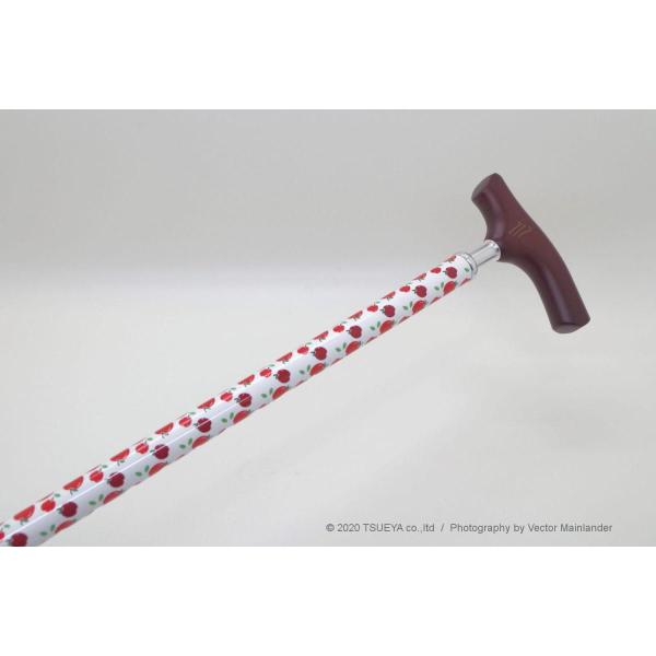 608ES-8137@   킢 Lk VjA U nr Ê  Ď    a