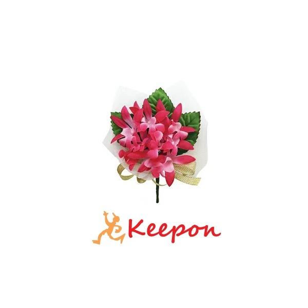 RT[W ft@ FDK@ w  LOi wZ wZ Z Ǝ ct ۈ牀 wZ J RT[W u[` ԑ